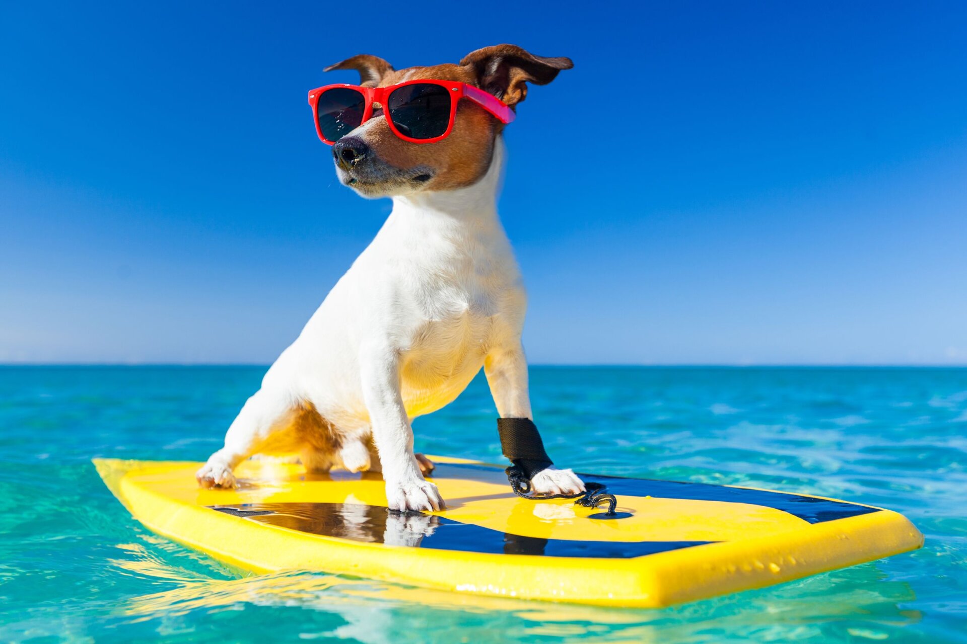 watersport